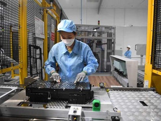 ⭐一手包售后
推特带粉号
靠谱渠道哪里买